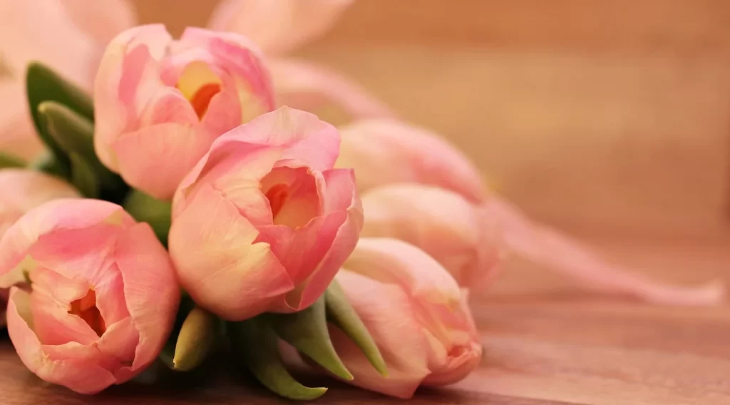 How the Gift of Flowers Can Help Strengthen Relationships?